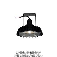 日立 高天井用LEDランプ アームタイプ 特殊環境対応 防湿・防雨形（対衝撃形） WCBME16CMNC1 256-1691（直送品）