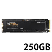 サムスン NVMe M.2 SSD 970 EVO Plus MZ-V7S250B/IT（直送品）