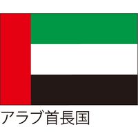 アスクル 世界の国旗 服部 応援 装飾用旗 アラブ首長国 135 90cm ポンジ 1枚 直送品 通販 Askul 公式
