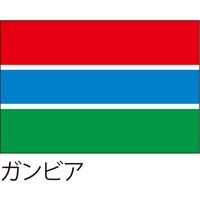 アスクル 世界の国旗 服部 応援 装飾用旗 ガンビア 135 90cm ポンジ 1枚 直送品 通販 Askul 公式