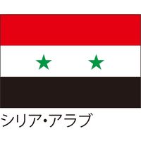 アスクル 世界の国旗 服部 応援 装飾用旗 シリア アラブ 135 90cm ポンジ 1枚 直送品 通販 Askul 公式