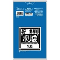 日本サニパック N51 Nシリーズキョウカ45L 青 4902393524568 1セット（1000枚：10枚×100）（直送品）