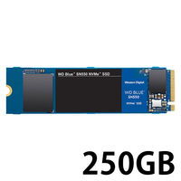 ウエスタンデジタル 内蔵タイプSSD Blue SN550 NVMe SSD SSD/M.2  250GB WDS250G2B0C 1台