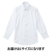 【アウトレット】ワイシャツ　長袖　紳士ボタンダウンビジネスシャツ（白大ストライプ）L イージーケア LOST-002-L 1セット（2枚） AWJ