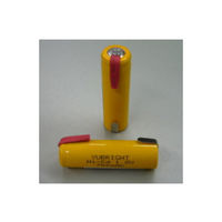 スカイニー ニッカド電池 単3形 1.2V パック