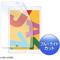 サンワサプライ Apple 第7世代iPad10.2インチ用ブルーライトカット液晶保護指紋防止光沢フィルム LCD-IPAD12BC 1枚