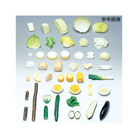 イワイサンプル フードモデル（野菜類・淡色野菜）ナビスカタログ