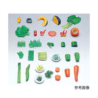 イワイサンプル フードモデル（野菜類・緑黄色野菜） ナビスカタログ