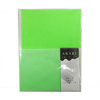 AKARI ビビッドレターセット グリーン VVL-G250 10個 エヒメ紙工（直送品）