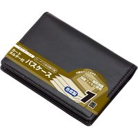 レイメイ藤井 カードホルダー付パスケース（一面） GLP9003