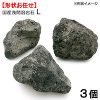 国産浅間溶岩石Ｌ（３ヶ） 約１５〜２０ｃｍ 2250000514962 1個（直送品）