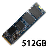 磁気研究所 M.2 2280 SSD (PCIe Gen 3.0 x2) 512GB PHM2-512GB 1個（直送品）