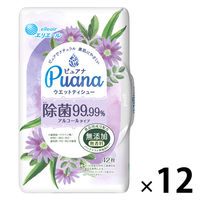 ウェットティシュー 本体 1パック（42枚入×12個） エリエール ピュアナ（Puana）除菌99.99% 大王製紙