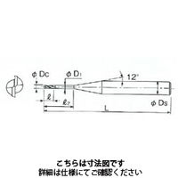不二越(NACHI) 超硬スクエアエンドミル ＧＳミル ロングネック 2枚刃