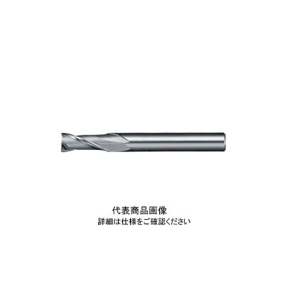 日進工具 リード30エンドミル NX-30φ2.8 01-00030-00280 1本（直送品