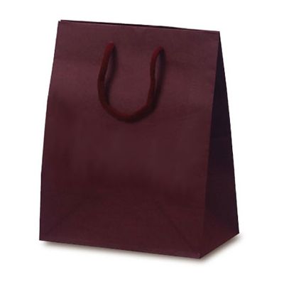 ベルベ 紙袋 新商品 1024 手提袋 T-2 最終値下げ ワイン 直送品 10×10 1包：100枚 カラークラフト