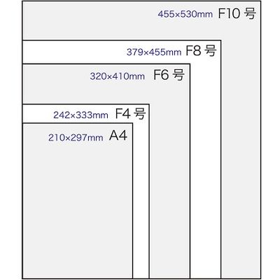 長門屋商店 色紙 F4 画仙 1枚ポリ入 シ-451 1セット（20枚）（直送品