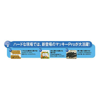 マッキープロ細字 特殊用途DX 黒 YYSS10-BK 油性ペン ゼブラ