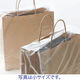 スーパーバッグ　雨の日手提袋カバー（中）　1袋（50枚入） オリジナル