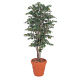 タカショー 人工観葉植物 ベンジャミン ナチュラル1.5m GD-31S 1個（直送品）