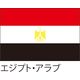【世界の国旗】服部 応援・装飾用旗 135×90cm ポンジ