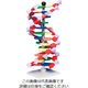 アズワン DNA抽出試薬・染色液 DNAモデルシステム miniDNA（R）