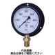 第一計器製作所 普通連成計 IPT一般連成計蒸気用 / _2