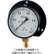 カクダイ 蒸気用圧力計（一般用・Bタイプ） 649-874-05C 1個（直送品）