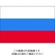 東京製旗（TOSPA） 東京製旗 国旗No.2（90×135cm）