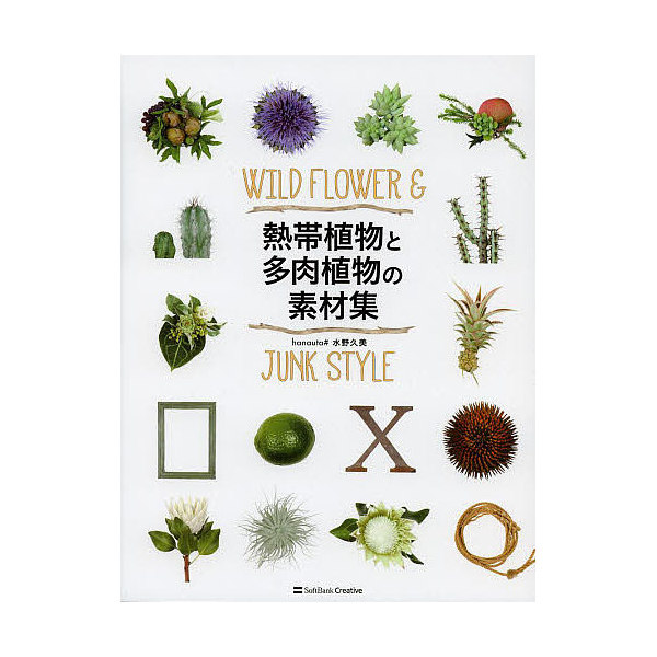 Lohaco 熱帯植物と多肉植物の素材集 Wild Flower Junk Style 水野久美 その他 Bookfan For Lohaco