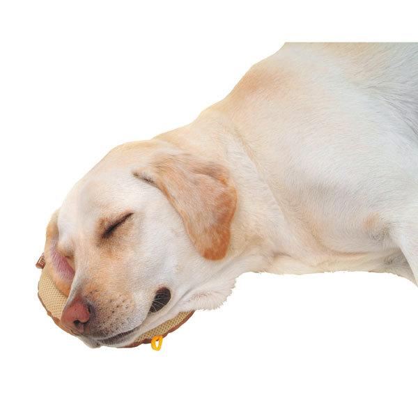 Lohaco ペティオ 老犬介護用 床ずれ予防クッション ドーナツ型 大 介護 看護 犬用 ペッツビレッジクロス