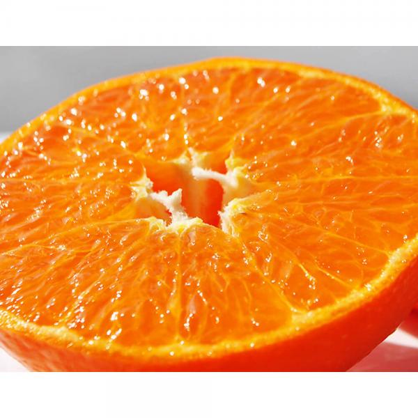 は まさき 柑橘