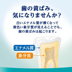 気になる歯の黄ばみ、その原因はエナメル質の軟化かも