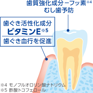 歯ぐき活性化成分
