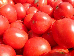 使用している有機トマトについて