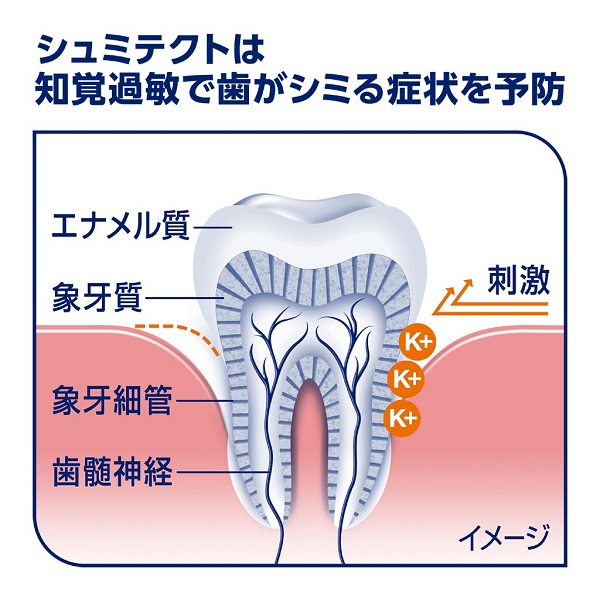 シュミテクトは知覚過敏ケアのための歯みがき粉